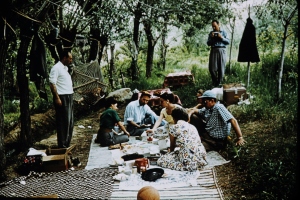 Picnics included food, games, music, and long conversations in the shade. (1956)